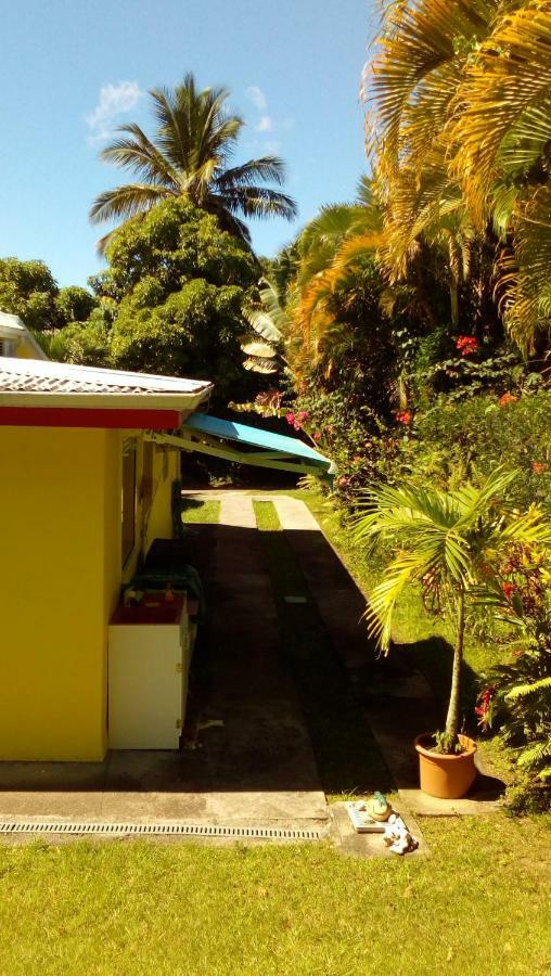 Passion Caraibes Appartement